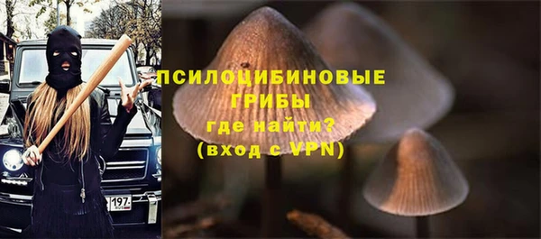 дмт Бронницы
