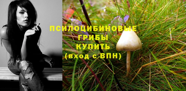 jwh Богородицк